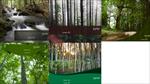 پنج-قالب-پاورپوینت-با-موضوع-جنگل